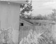 Photograph: [A shed in a backyard]