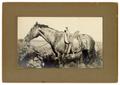 Primary view of [Horse in tack]