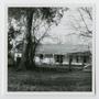 Photograph: [The Old King Cabin in Freestone County]