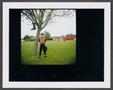 Photograph: [Boy in a baseball uniform standing next to a tree]