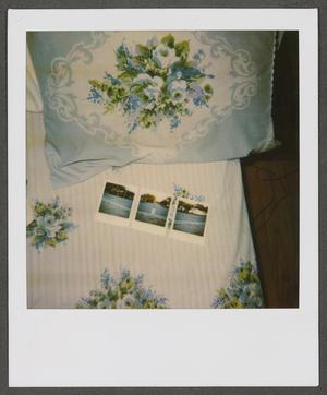 Primary view of [Three polaroids laying on a bed]