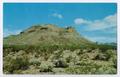 Primary view of [Postcard of Turtle Back Mountain]