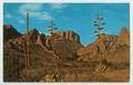 Thumbnail image of item number 1 in: '[Postcard of Green Gulch]'.