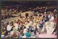 Photograph: [1994 Texas Democratic Convention crowd]