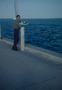 Photograph: [Byrd III standing near the ocean]