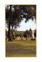 Pamphlet: [Program: Historic Abston Cemetery Rededication]