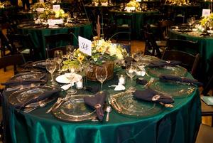 Primary view of [Table 38 at 2008 Emerald Ball]