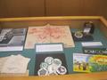 Photograph: [Display case of materials from UNT's past, 2]