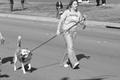 Photograph: [NT40 member walks her dog]