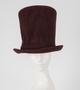 Physical Object: Burgundy top hat