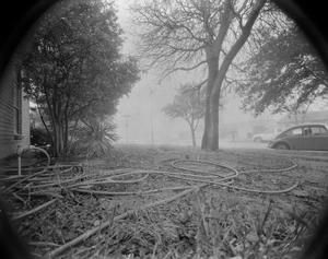 Primary view of object titled '[Front yard at 905 Hawthorne with hoses on the ground]'.