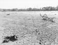 Photograph: [Benbrook Lake during a drought]