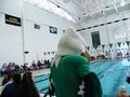 Thumbnail image of item number 1 in: '[Scrappy watches UNT vs New Orleans swim meet]'.