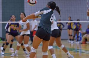 Primary view of object titled '[Shelby Tamura bumps volleyball during PVAMU match]'.