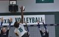 Photograph: [Carnae Dillard spikes volleyball]