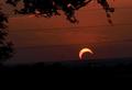 Photograph: [Partial solar eclipse, view from McKenna Park, 3]