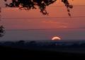 Thumbnail image of item number 1 in: '[Partial solar eclipse, view from McKenna Park, 5]'.
