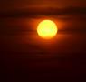 Thumbnail image of item number 1 in: '[Transit of Venus, view from McKenna Park, 2]'.