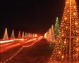 Photograph: [Christmas Tree Lane at Santa Land, 1]
