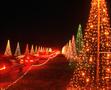 Photograph: [Christmas Tree Lane at Santa Land, 2]