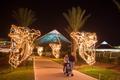 Primary view of [Family 1 walks through Galveston Festival of Lights angel display]
