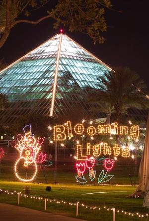 Primary view of object titled '["Blooming Lights" display at Galveston Festival of Lights]'.