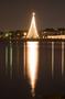 Photograph: [Tree of lights in Galveston, Texas]