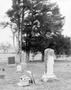 Photograph: [Backside of gravestones in Joshua graveyard]