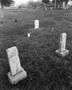 Photograph: [Two baby graves on the edge of a cemetery]