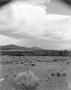 Photograph: [Northern New Mexican landscape]