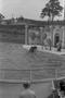Thumbnail image of item number 1 in: '[Killer Whale Performance at Seven Seas Marine Life Park, 6]'.