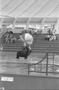 Thumbnail image of item number 1 in: '[Sea Lion Circus Show at Seven Seas Marine Life Park, 2]'.