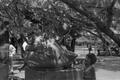 Primary view of [Two girls viewing a hippo head statue at Six Flags Over Texas in Arlington]