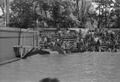 Photograph: [Dolphin show at Six Flags Over Texas in Arlington, 8]