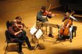 Photograph: [Kelemen Quartet performs String Quartet in D Minor, "Death and the M…