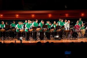 Primary view of object titled '[Rows of percussionists in green shirts performing onstage, 1]'.