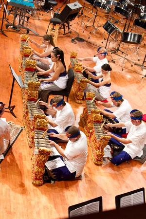 Primary view of object titled '[Bwana Kumala Gamelan performs at Global Rhythms concert, 1]'.