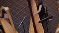 Video: [A video of six harpists performing as a group, 2]