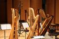 Photograph: [Harps in Voertman Hall, 5]