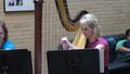 Photograph: [Amanda Mangrum performs with the HarpBeats, 1]