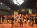 Photograph: [Rows of harps and music stands on a stage, 4]