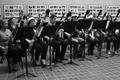Primary view of [Two rows of people playing bassoons adorned with tinsel, 6]
