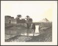 Primary view of [Man standing near a river in Egypt]