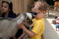 Photograph: [Child hugging goat]