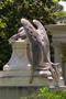Photograph: [The Angel of Grief at Glenwood Cemetery, Houston]