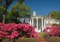 Thumbnail image of item number 1 in: '[Home on Azalea Trail]'.