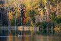 Photograph: [Tranquil Serenity: A Scenic Lake at Faulkner Park]