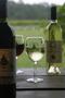 Thumbnail image of item number 1 in: '[Vineyard Bliss: Wine Tasting at Los Pinos Ranch Vineyards]'.