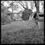 Photograph: [Dog in the middle of a backyard]
