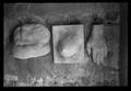 Photograph: [Anatomical sculptures]